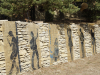 7__DSC5043 - copie